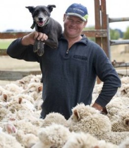 Matt Lloyd among the sheep on his Mt Wallace farm.